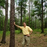 (Alabama's "Money Tree")